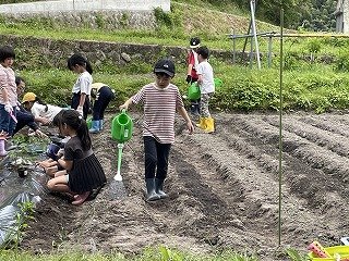 240515苗植え2年 (3).jpg