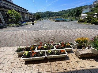 IMG_1514.jpg