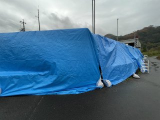 221126壁画 (8).jpg