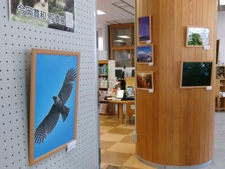 奥大山の輝き ～生き物と風景～