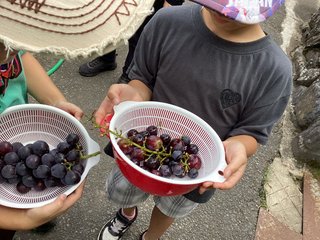 IMG_3315.JPG