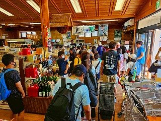 250730西ノ島③ (2).jpg