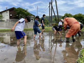 220510田植え5年 (10).jpg