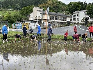 230508　田植え (53).jpg