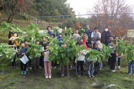 251126大根収穫 (41).JPG