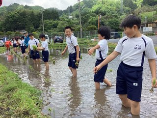 4 IMG_0542.JPG