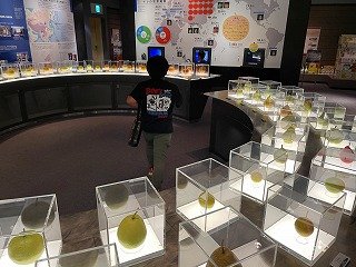 250527県美 (72).jpg
