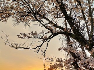 IMG_20210331_211657-1.jpg