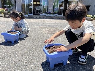 240514あさがお (17).jpg