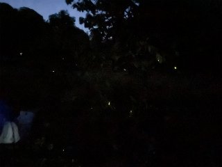 IMG_1129.jpg
