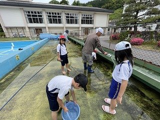 240530プールそうじ (25).jpg