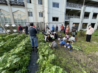 IMG_0764.jpg
