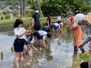 220510田植え5年 (16).jpg