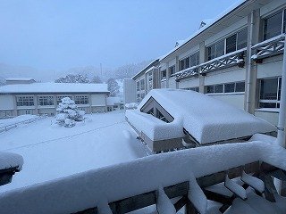 230125大雪臨時休業 (11).jpg