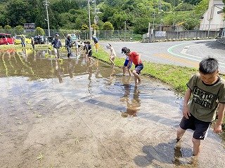 240509田植え (7).jpg