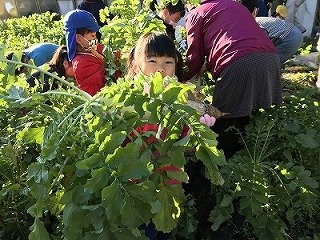IMG_0751.jpg