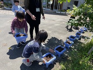 240514あさがお (20).jpg