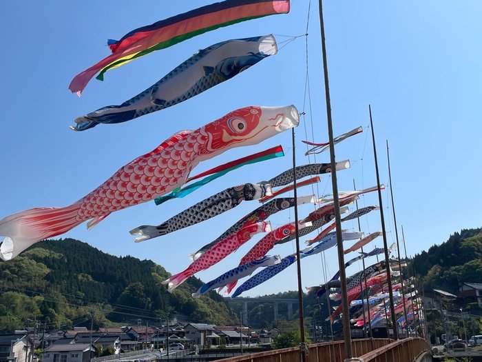 こいのぼり(久連橋).jpg