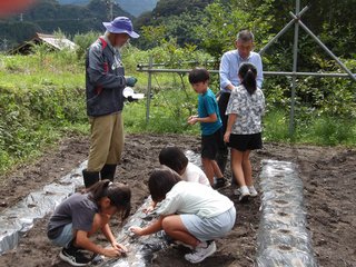 250919種まき (25).JPG
