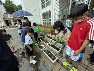 230608人権の花 (66).jpg