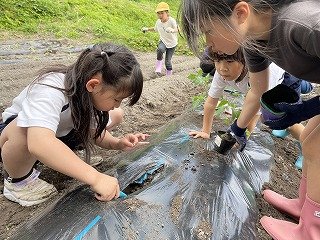 240515苗植え2年 (4).jpg