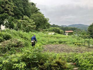 IMG_6923.JPG