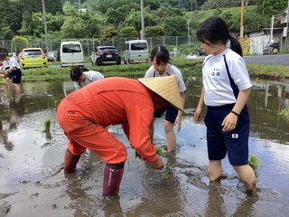3 IMG_0537.JPG