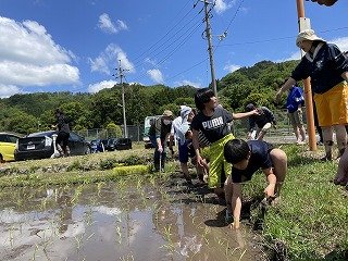 240509田植え (32).jpg