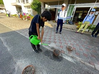 IMG_3974.jpg