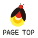 PAGETOP